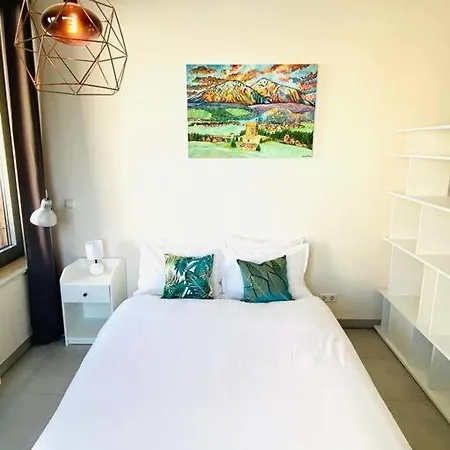 Large Studio In Center W Terrace.1min Walk To Tram - Cosy Apartment